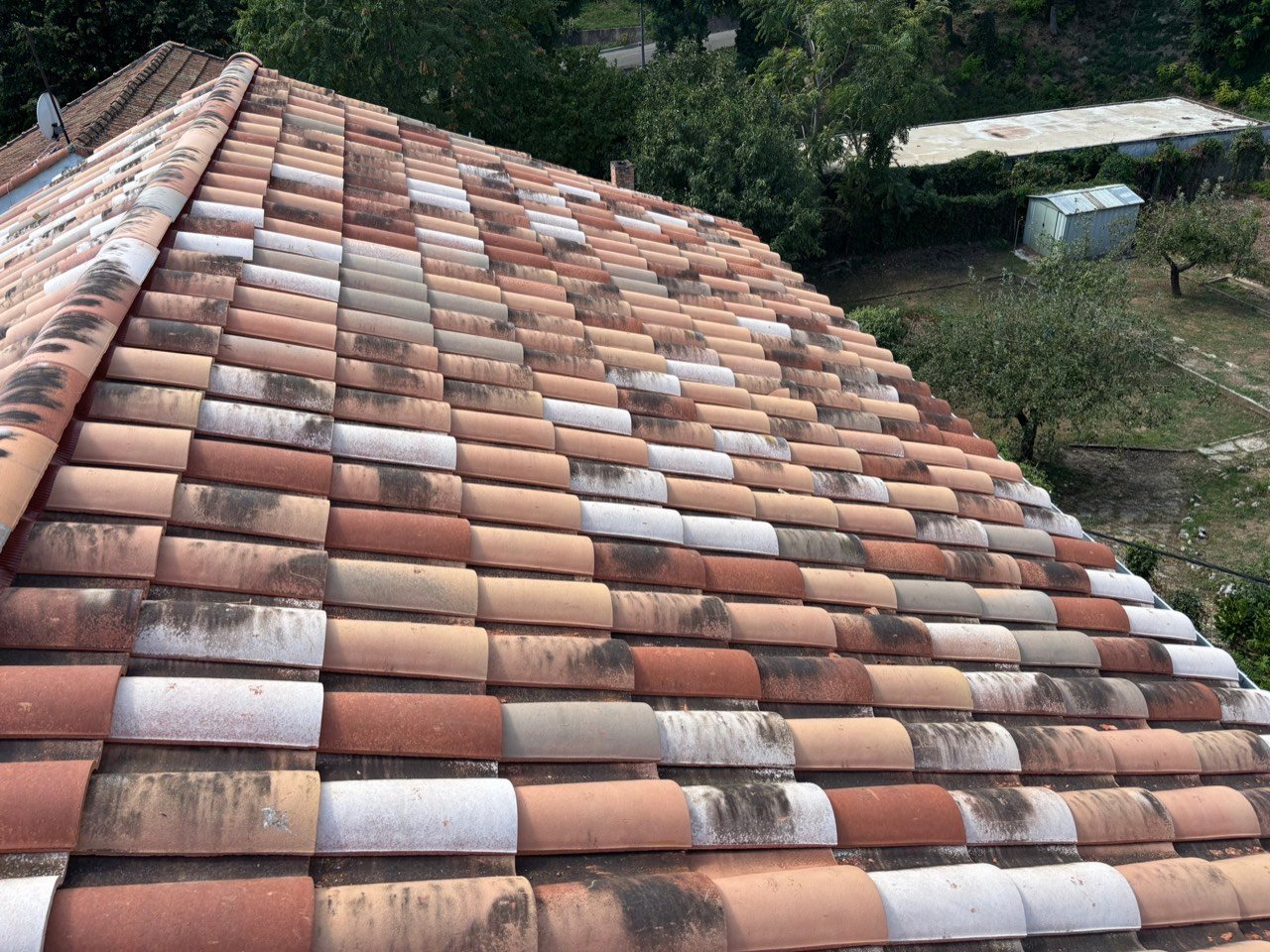 Détail de tuiles en gros plan